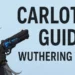 Carlotta Wuthering Waves Build Guide: Best Echoes, Weapons & Teams