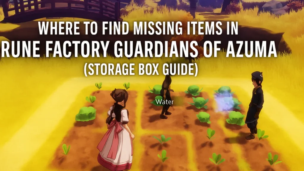 Missing Items Rune Factory Guardians of Azuma – Find Storage Box