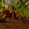 Grounded 2 Red Soldier Ant Eggs: Locations, Retrieval & Buggy Guide