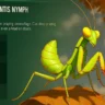 Where to Find Praying Mantis in Grounded 2: All Spawn Locations & Farming Tips
