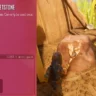 Grounded 2 Brittle Whetstone Guide: How to Farm and Upgrade Weapons