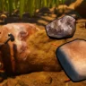 Where to Find Sturdy Quartzite in Grounded 2: All Locations & Farming Tips
