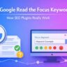 Does Google Read the Focus Keyword? How SEO Plugins Really Work