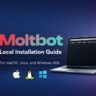 How to Install Moltbot Locally on macOS, Linux, and Windows (WSL Guide)
