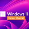 Windows 11 Canary Channel Update Introduces Dual Build Paths With New 29531.1000 Release