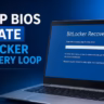 HP BIOS update BitLocker recovery loop
