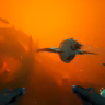 Subnautica 2 regions and biomes