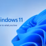 WinUI 3 Windows 11 performance