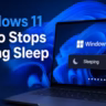 Windows 11 Audio Stops During Sleep
