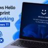 Windows Hello fingerprint not working