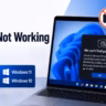 Camera Not Working in Windows 11