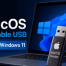 How to Create a macOS Bootable USB on Windows 11