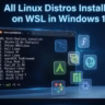 All Linux Distros Installed on WSL in Windows 11
