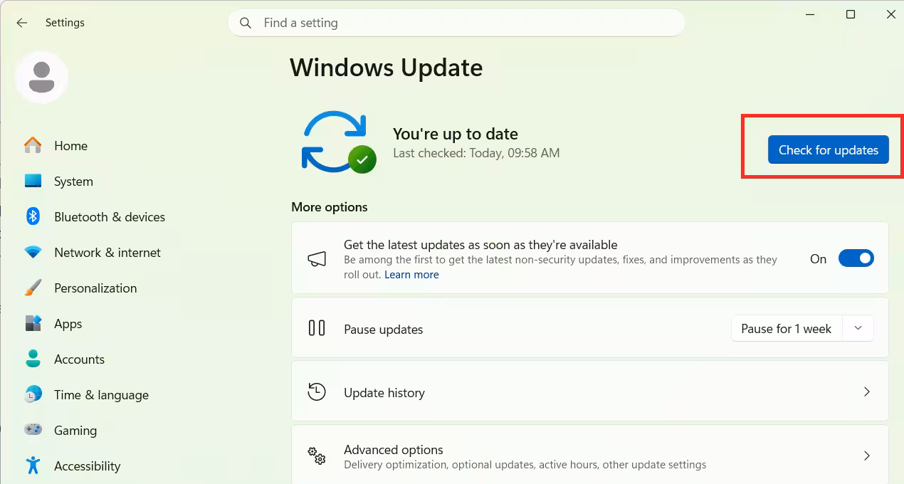 Update Windows 11