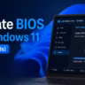 how to update bios on windows 11
