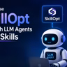 how to use SkillOpt