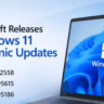 Windows 11 Dynamic Updates