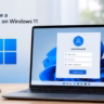 How to Create Local Account on Windows 11