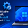 disable automatic driver install windows 11