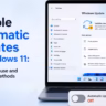 disable automatic updates windows 11