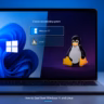 dual boot windows 11 and linux