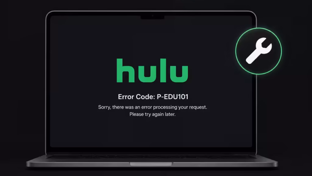 hulu error code p-edu101
