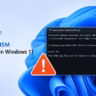DISM not working Windows 11