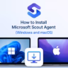 install Microsoft Scout