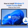 install windows 11 insider preview build