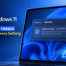 Windows 11 unified memory setting