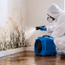 Why Homeowners Must Prioritize Timely Water Damage Mold Clean Up